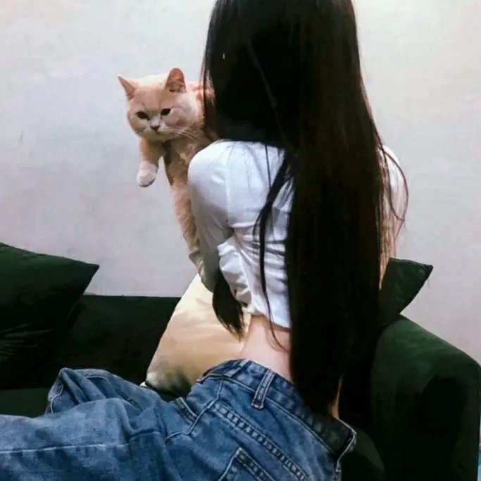 圣诞夜疯狂